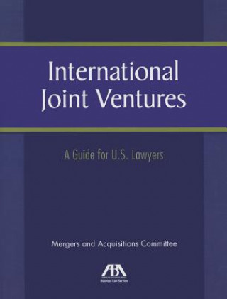 Könyv International Joint Ventures 