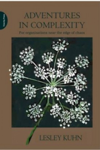 Kniha Adventures in Complexity Lesley Kuhn