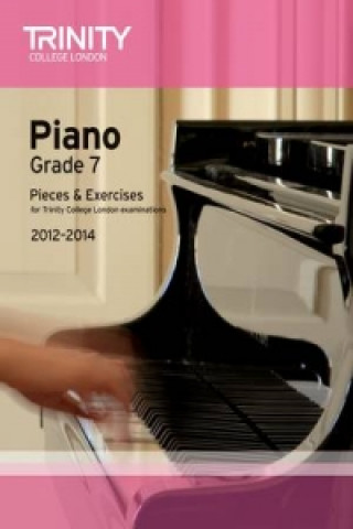 Buch Piano Grade 7 