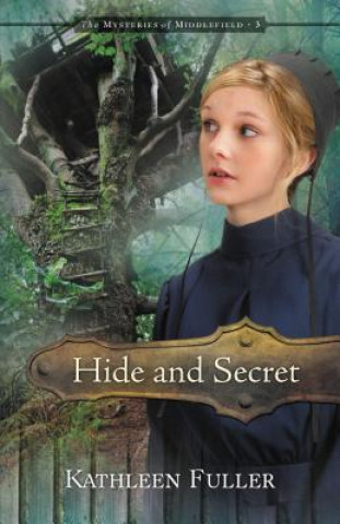 Buch Hide and Secret Kathleen Fuller