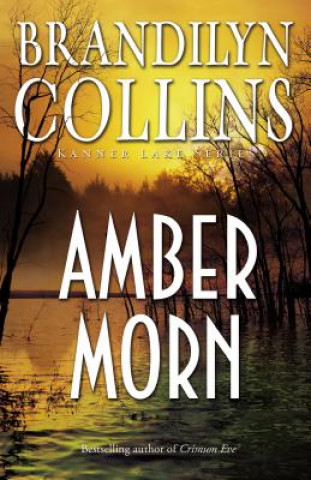 Kniha Amber Morn Brandilyn Collins