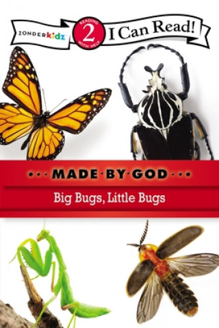 Carte Big Bugs, Little Bugs Zondervan Publishing
