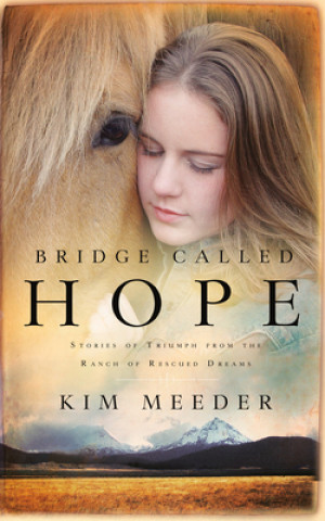 Boek Bridge Called Hope Kim Meeder