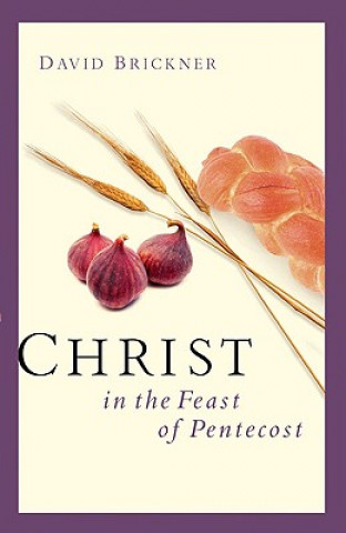 Livre Christ in the Feast of Pentecost Rich Robinson