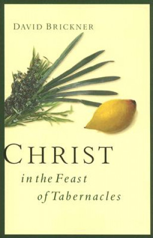 Kniha Christ in the Feast of Tabernacles David Brickner