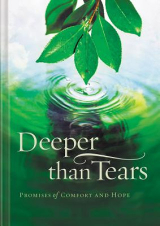 Kniha Deeper Than Tears Terri Gibbs