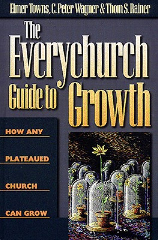 Kniha Everychurch Guide to Growth Thom S. Rainer