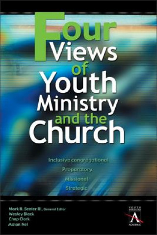 Carte Four Views of Youth Ministry and the Church Mark Senter