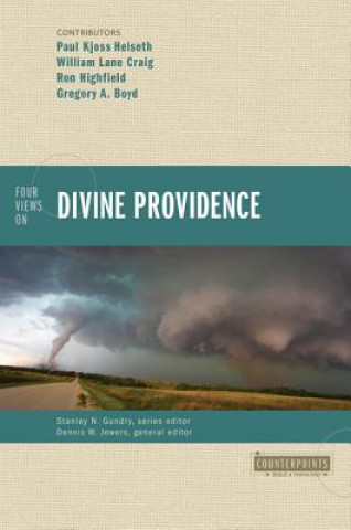 Kniha Four Views on Divine Providence Ron Highfield