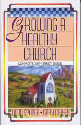 Książka Growing a Healthy Church Gary R. Mayes