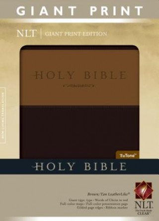 Book Giant Print Bible-NLT Tyndale