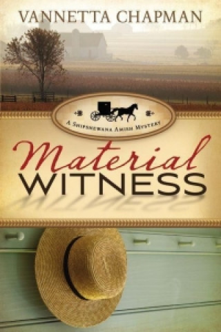 Libro Material Witness Vannetta Chapman