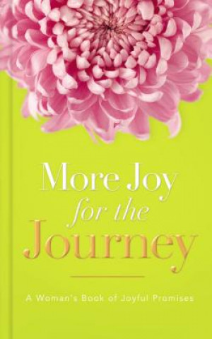 Carte More Joy for the Journey J. Countryman