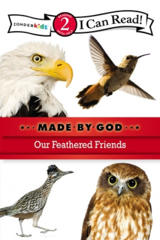 Book Our Feathered Friends Zondervan Publishing