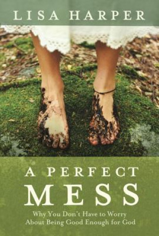Kniha Perfect Mess Lisa Harper