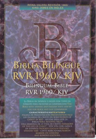 Knjiga Bible Kjv Bilingual Blk T/I BL Bible