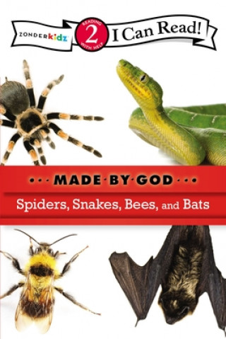 Kniha Spiders, Snakes, Bees, and Bats Zondervan