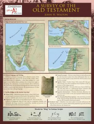 Carte Survey of the Old Testament John H. Walton
