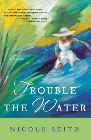Könyv Trouble the Water Nicole Seitz