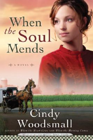 Carte When the Soul Mends Cindy Woodsmall