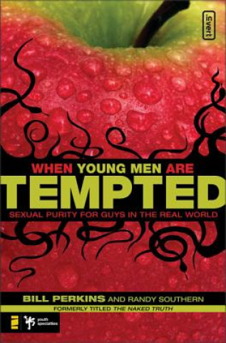 Kniha When Young Men Are Tempted Randy Southern