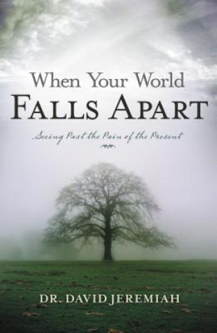 Kniha When Your World Falls Apart David Jeremiah