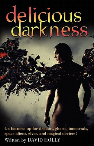 Kniha Delicious Darkness David Holly