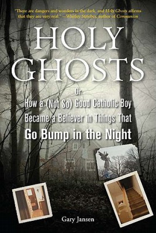 Kniha Holy Ghosts Gary Jansen
