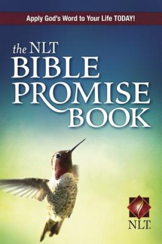 Kniha NLT Bible Promise Book Amy E Mason