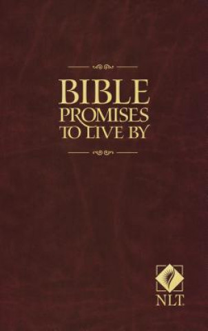 Carte Bible Promises To Live By Amy E Mason