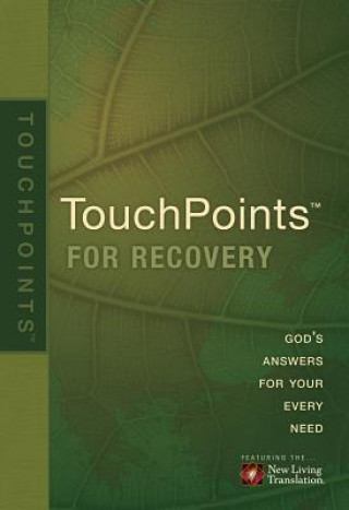 Book Touchpoints for Recovery Amy E Mason
