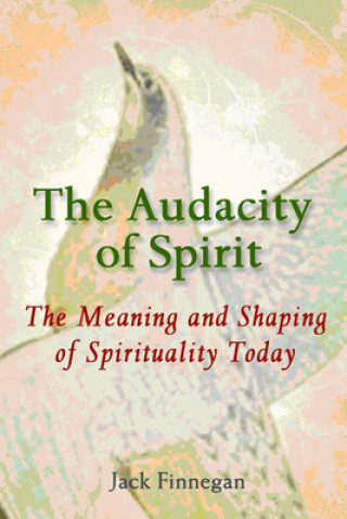 Книга AUDACITY OF SPIRIT Jack Finnegan