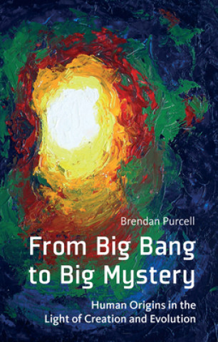 Livre From Big Bang to Big Mystery Brendan Purcell