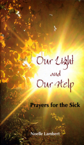 Libro Our Light and Our Help Noelle Lambert