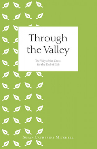 Buch Through the Valley Susan Catherine Mitchell