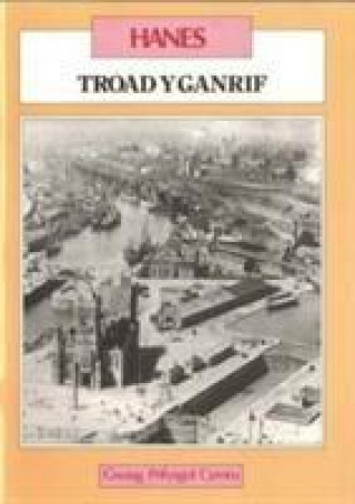 Kniha Troad y Ganrif R. J. Morris
