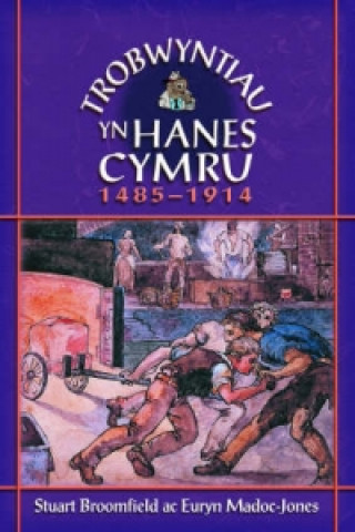 Kniha Trobwyntiau Yn Hanes Cymru Madoc-Jones