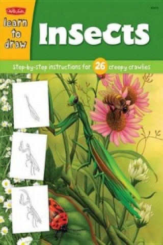 Carte Learn to Draw Insects Diana Fisher