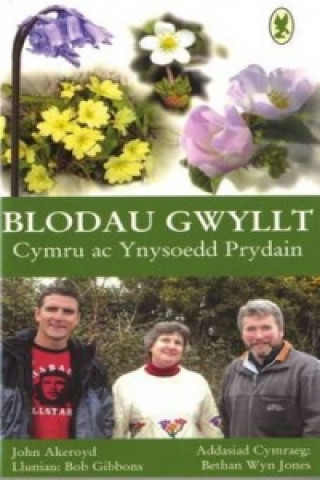 Könyv Blodau Gwyllt Cymru ac Ynysoedd Prydain Bethan Wyn Jones