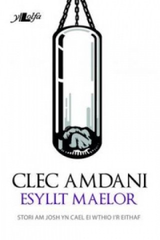 Książka Clec Amdani Esyllt Maelor