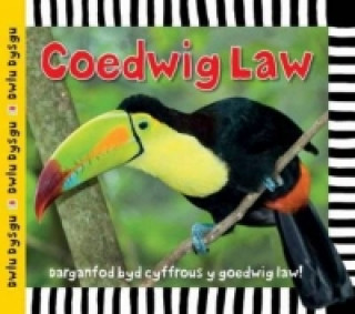 Könyv Cyfres Dwlu Dysgu: Coedwig Law Sarah Powell
