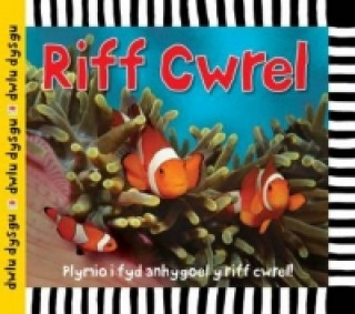Buch Cyfres Dwlu Dysgu: Riff Cwrel Sarah Powell