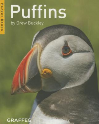 Kniha Puffins Drew Buckley