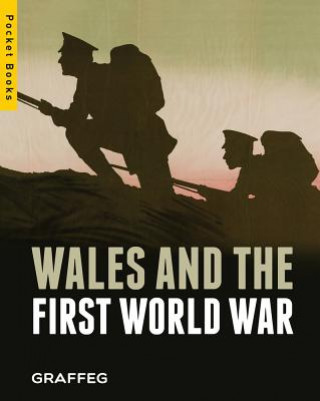Kniha Wales and the First World War Nick Shepley