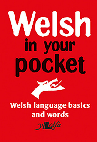 Könyv Welsh in your pocket 