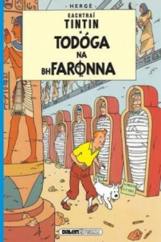 Book Tintin: Todoga Na Bhfaronna (Irish) Hergé
