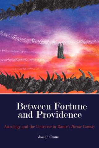 Βιβλίο Between Fortune and Providence Joseph Crane