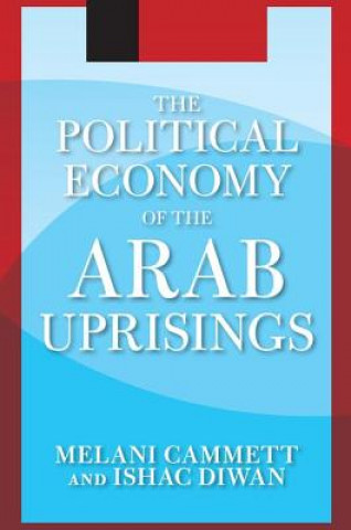 Kniha Political Economy of the Arab Uprisings Ishac Diwan