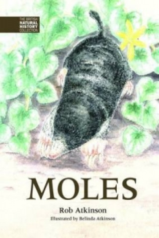 Buch Moles Rob Atkinson