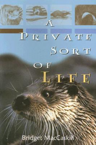 Könyv Private Sort of Life Bridget MacCaskill